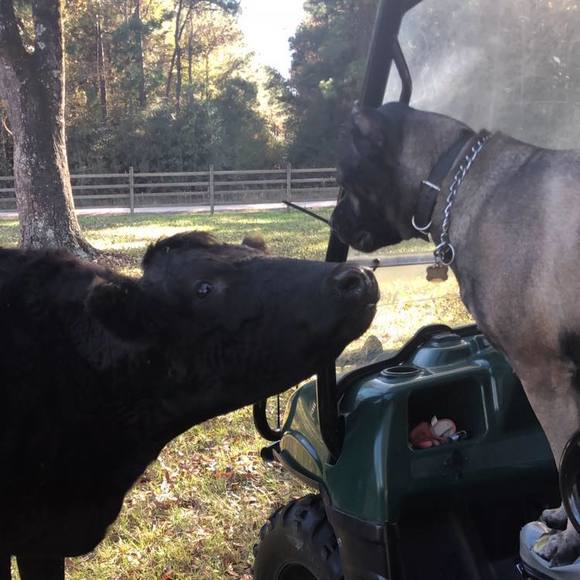 Meet your Posher, Jeff - Picture 1 of 1